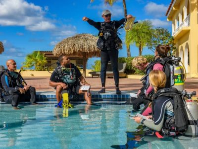 Caraiben-Bonaire-Buddy Dive-duikles