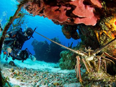 Caraibische zee-Mexico-Cozumel-Allegro Cozumel-duiken 5