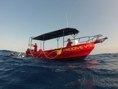 Caraibische zee-Mexico-Playacar-Allegro Playacar-Pro Dive-boot 2