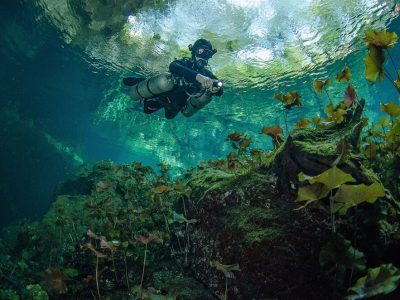 Caraibische zee-Mexico-Playacar-Allegro Playacar-Pro Dive-cenotes