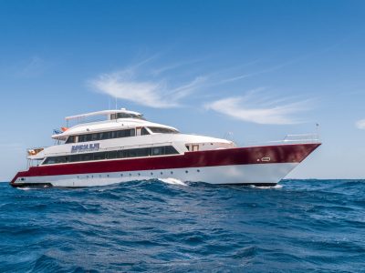 Egypte-Rode Zee-Liveaboard-Emperor Divers-Elite-algemeen 1