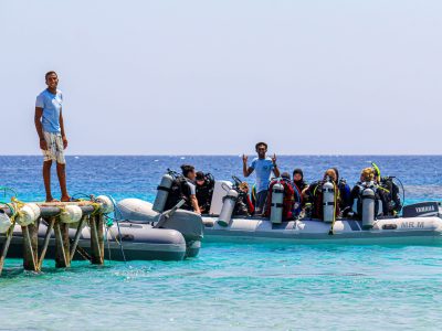 Egypte-Rode Zee-Marsa Alam-Marsa Shagra-duiken 4