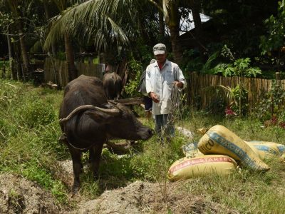 Filippijnen-Bohol-Magic Oceans-Excursie 1