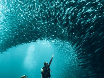 Filippijnen-Philipine Siren- Malapascua & Visayas-The Wanderlovers