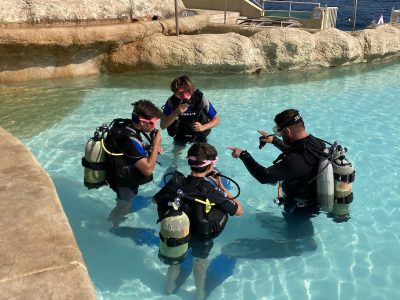 Middellandse Zee-Malta-Malta Blue-duikopleiding