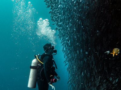 Philippines - Malapascua & Visayas - The Wanderlovers (Oct 2019) - Medium